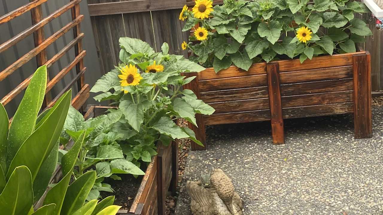 Furnished room with ensuite in a share house