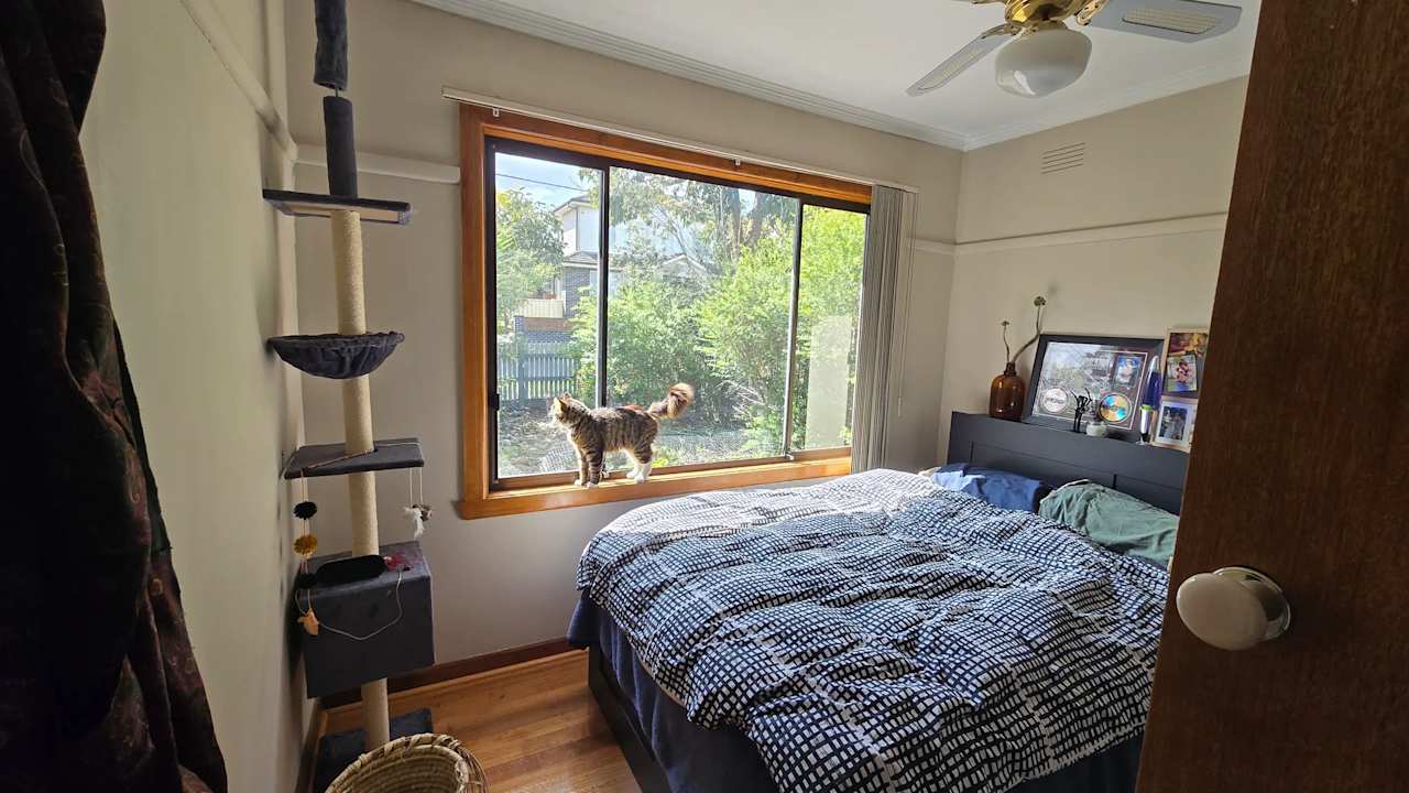Room in a share house