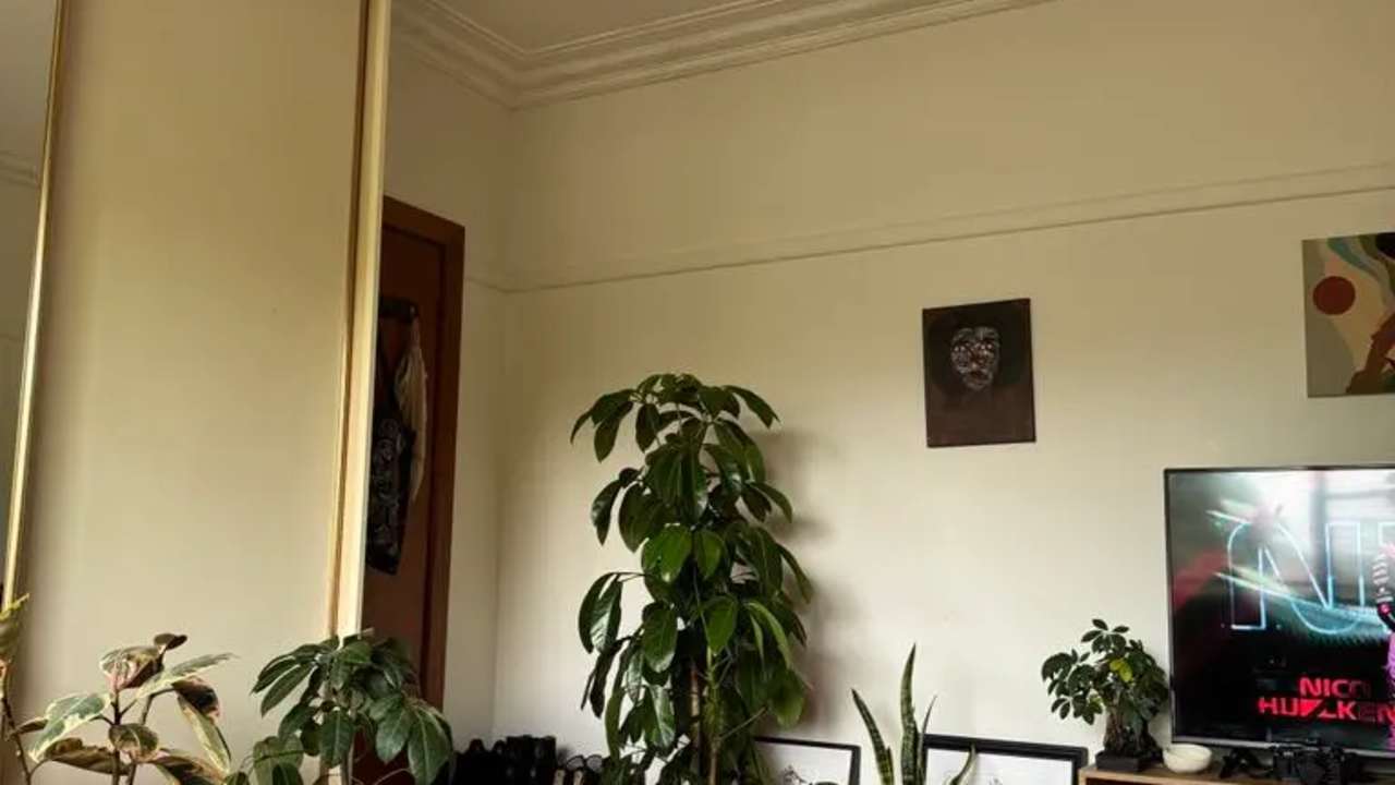 Unfurnished room in a share house