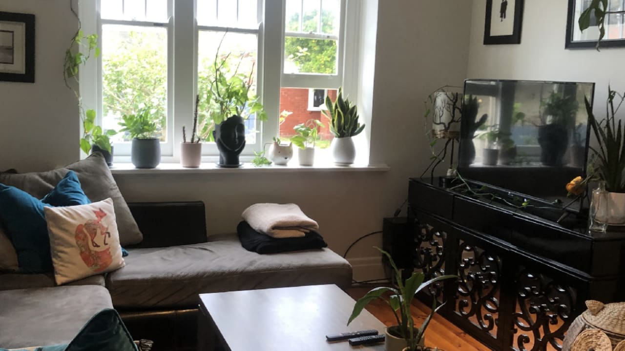 Room in a flatshare