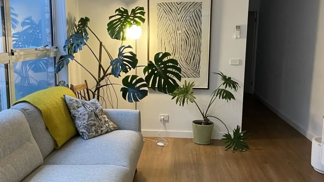 Unfurnished room in a share house