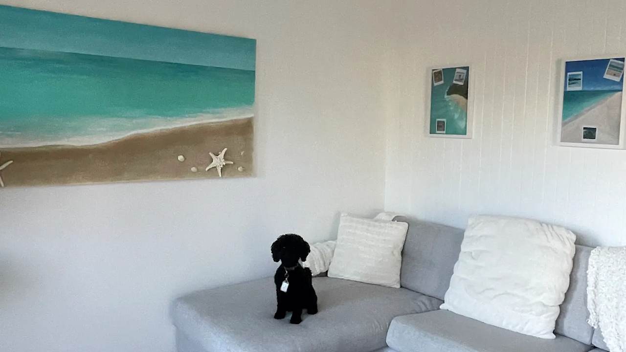 Furnished room in a flatshare