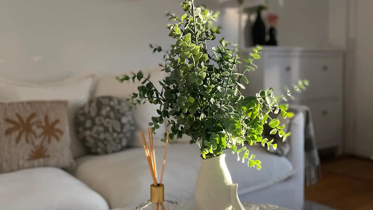 Whole property with 2 rooms for rent