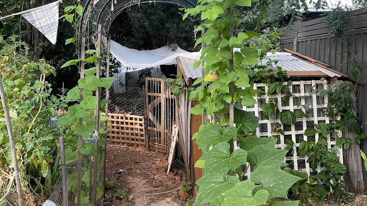 Unfurnished room in a share house