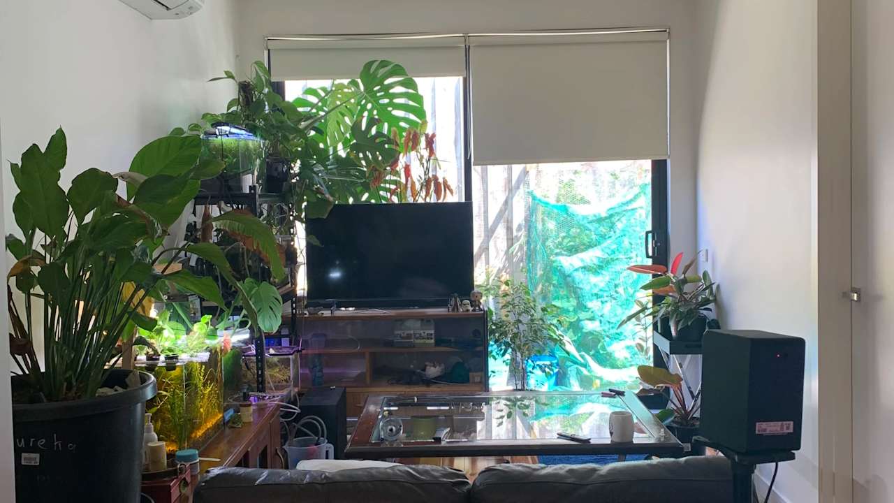 Furnished room in a flatshare
