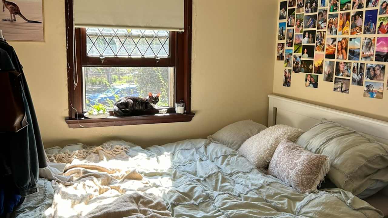 Furnished room in a share house