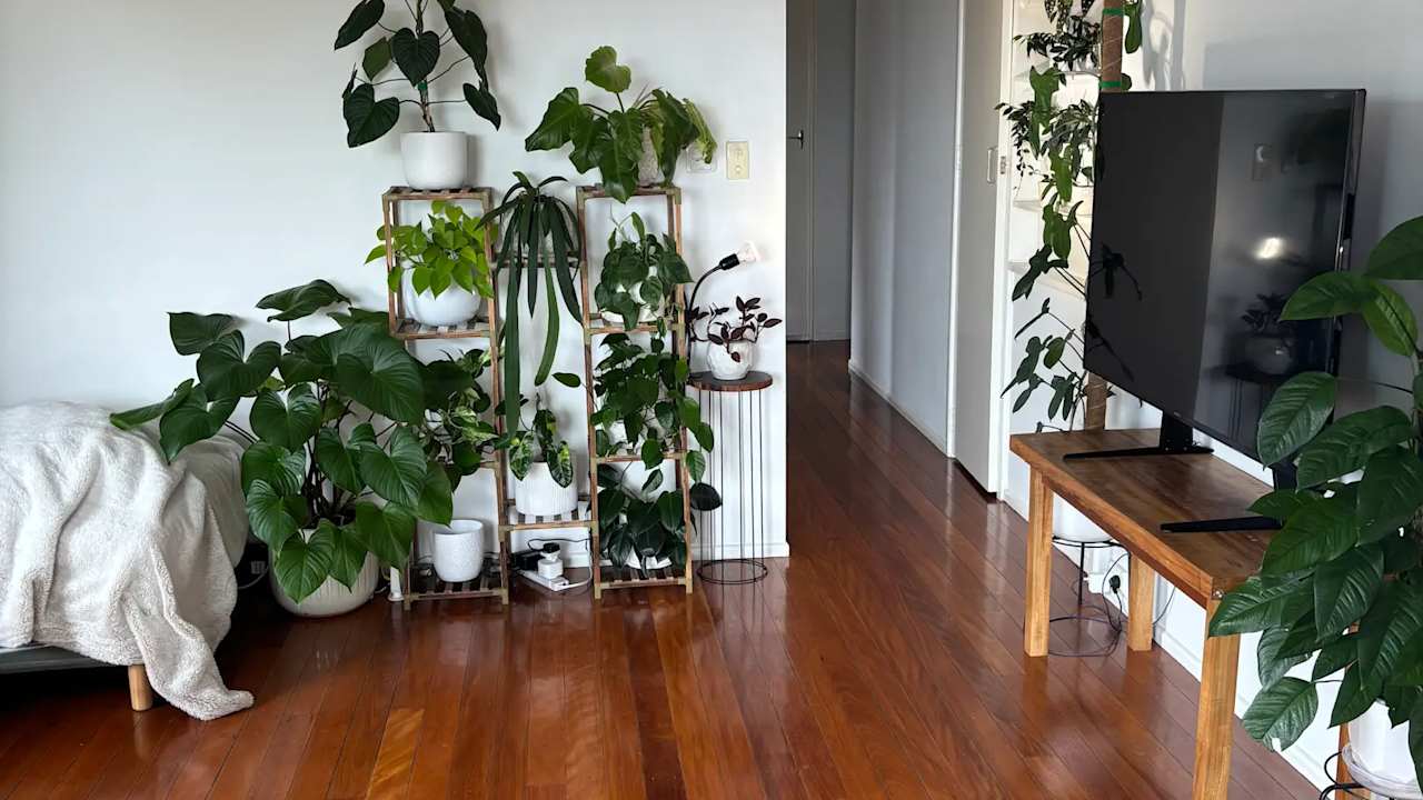 Furnished room in a share house