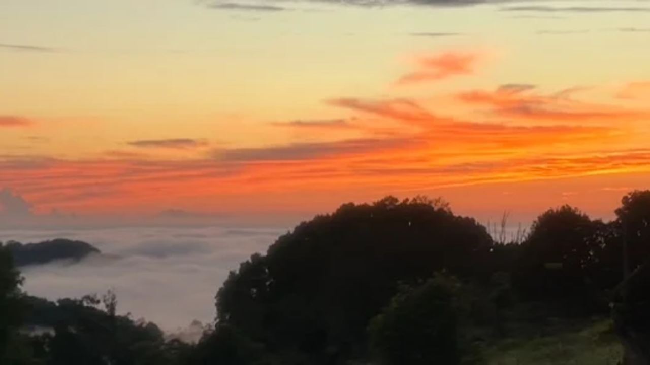 Room with ensuite in a share house