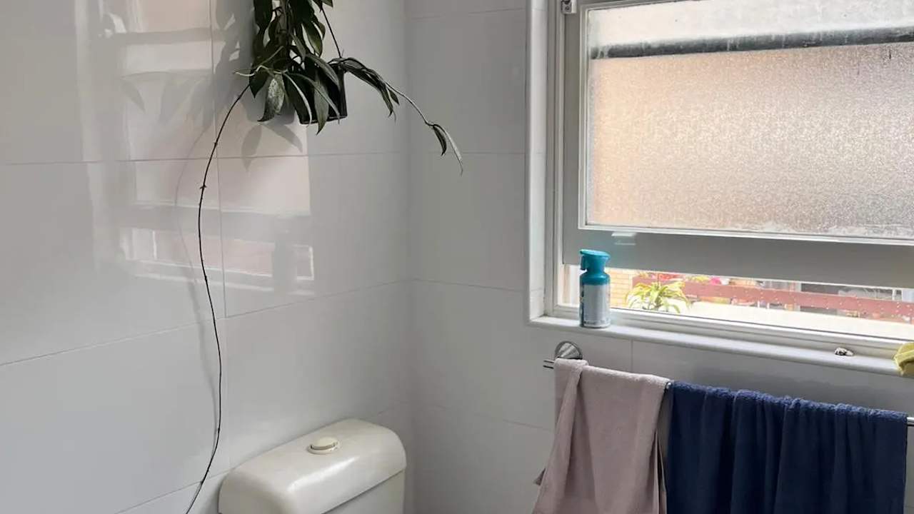 Room in a flatshare