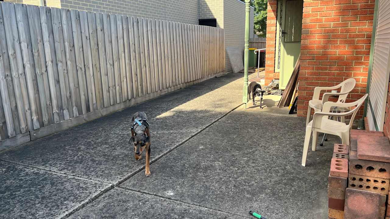 Unfurnished room in a share house