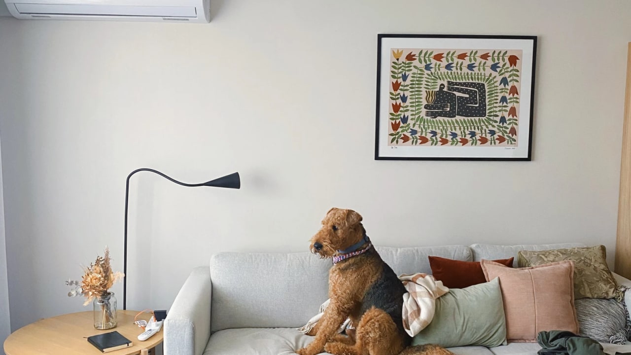 Furnished room in a share house