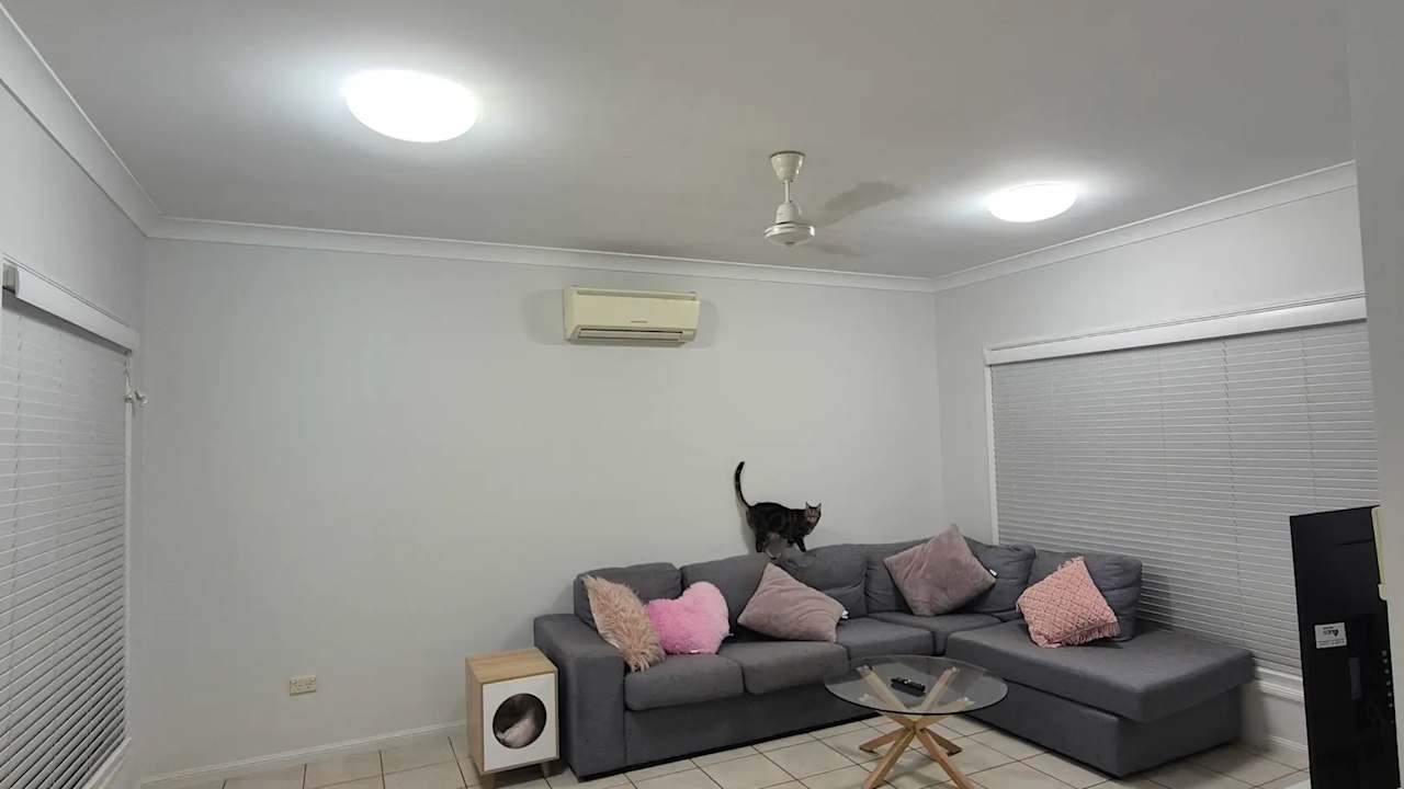 Whole property with 4 rooms for rent