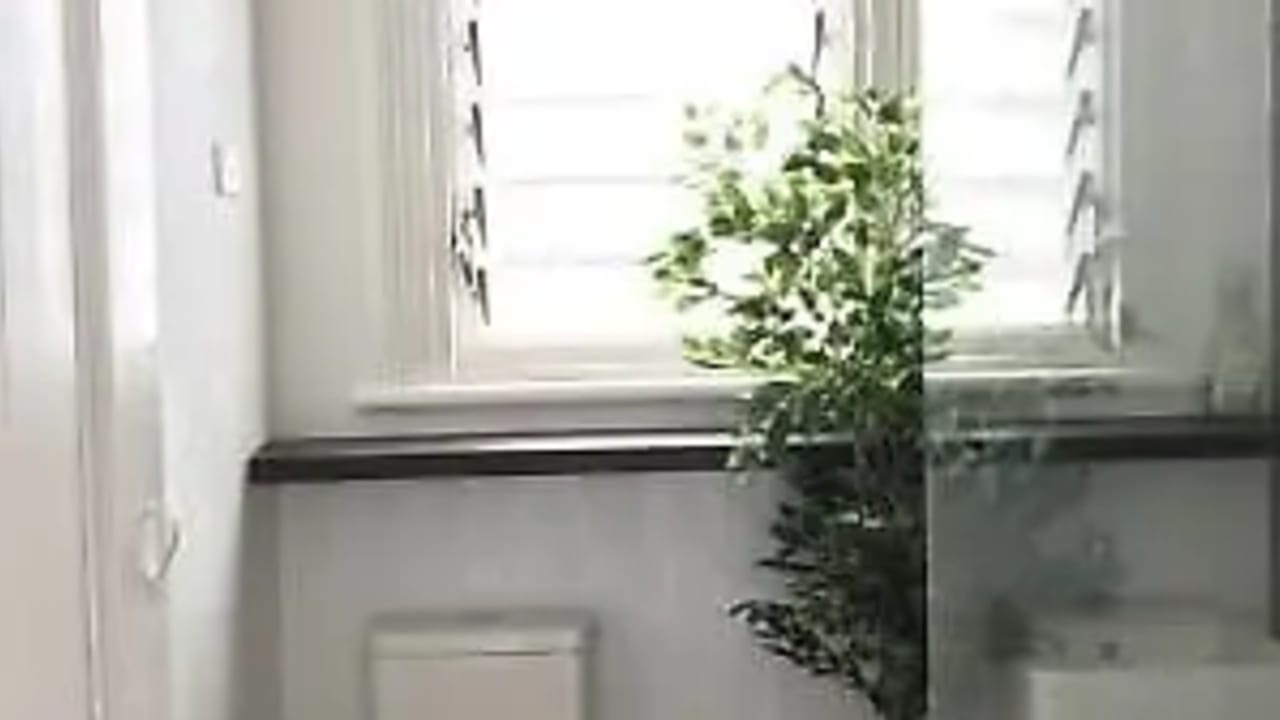 Room in a share house