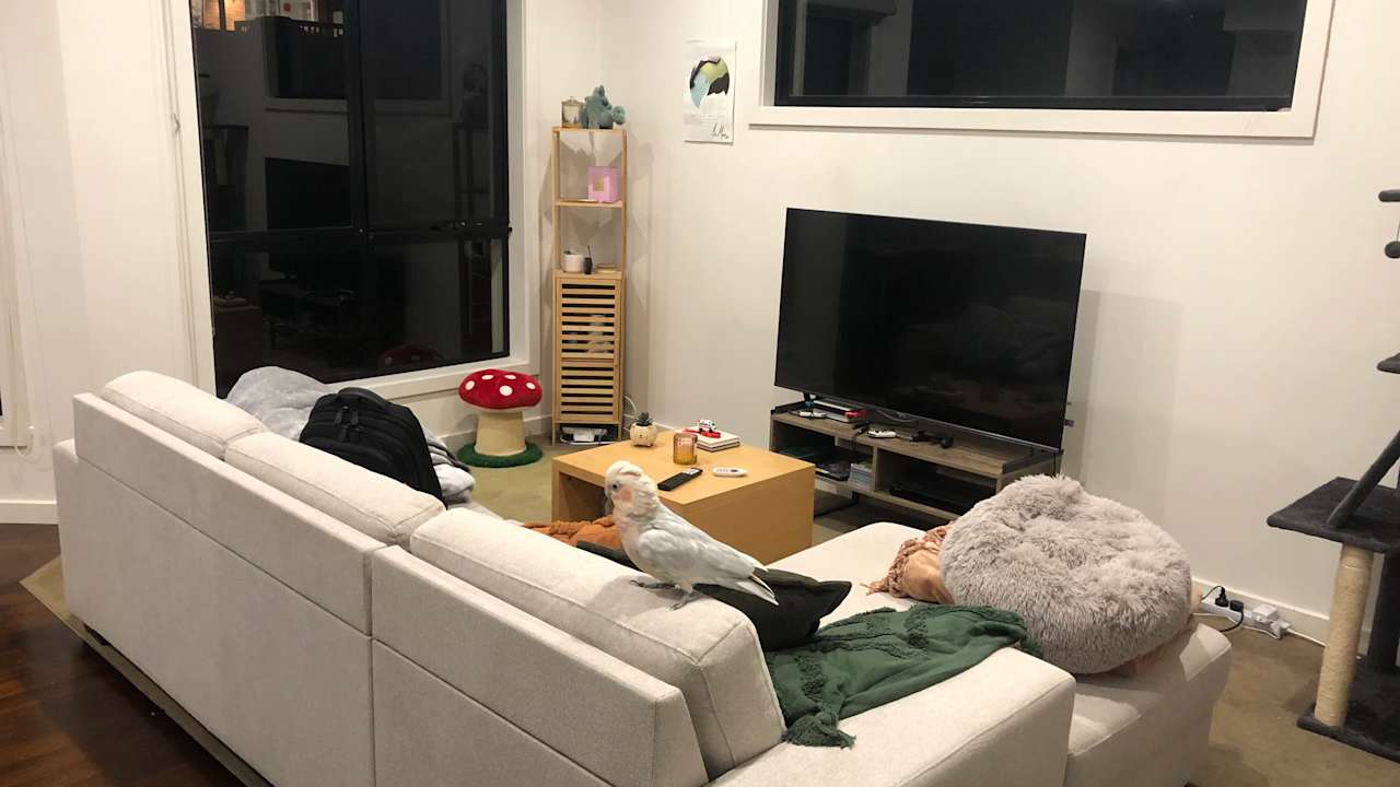 Unfurnished room in a share house