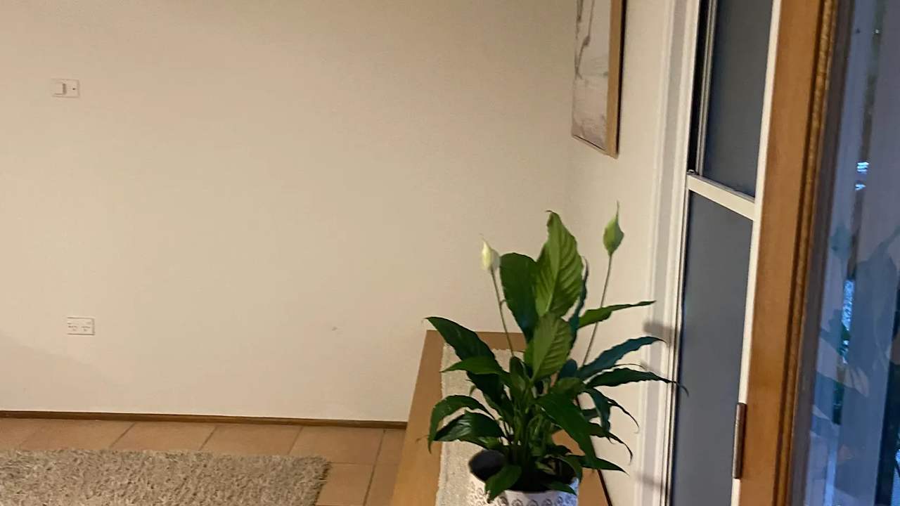 Room with ensuite in a share house