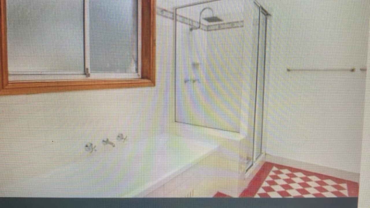 Whole property with 3 rooms for rent
