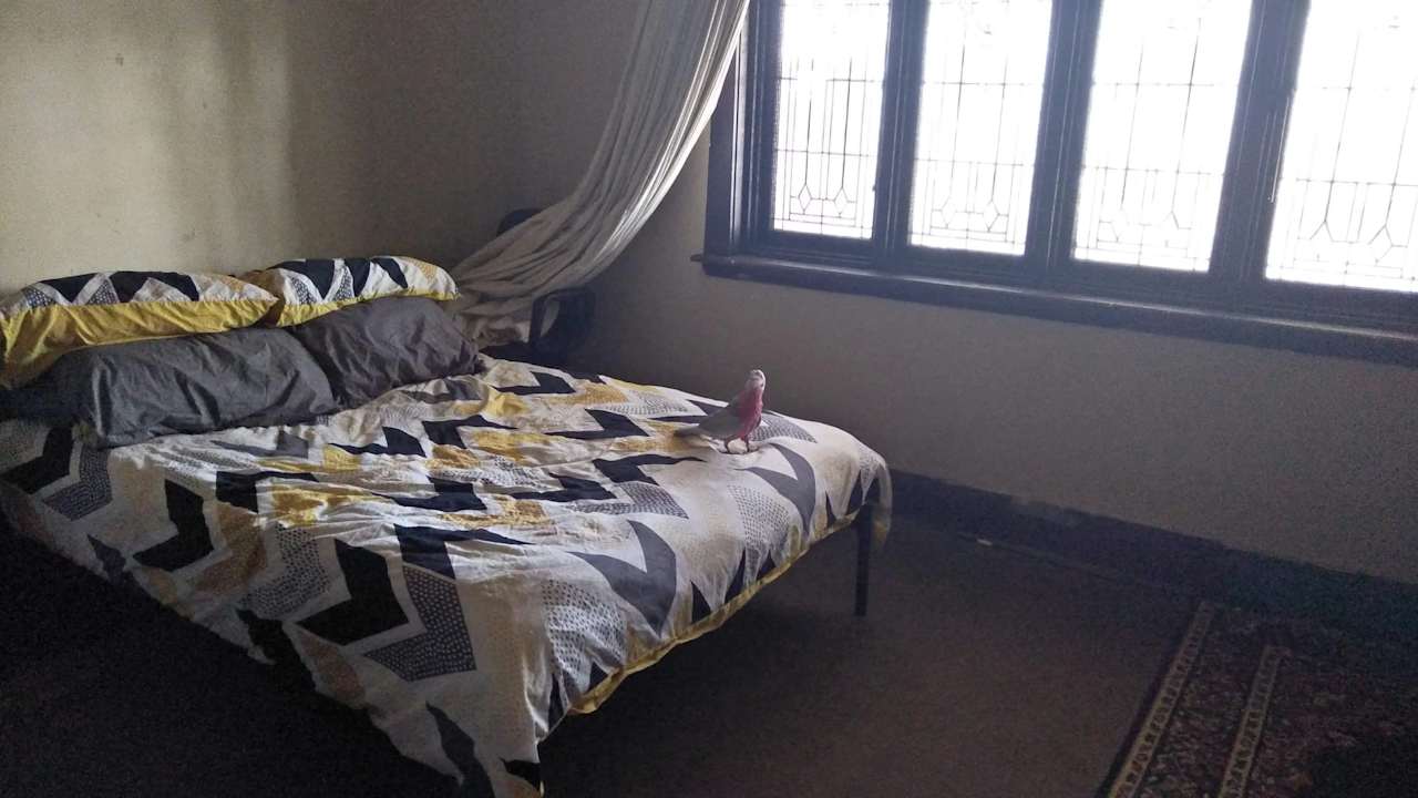 Unfurnished room in a share house