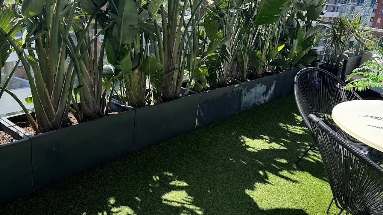 Whole property with 3 rooms for rent