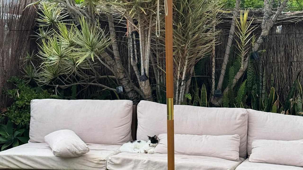 Whole property with 3 rooms for rent