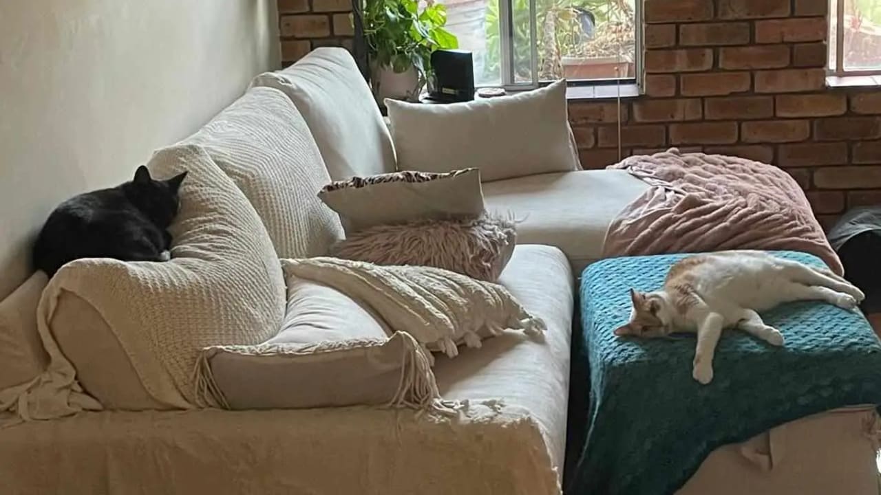 Furnished room in a share house