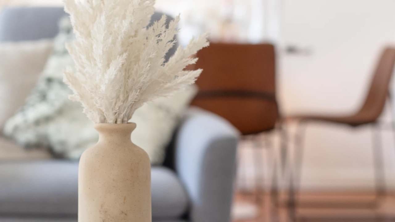 Whole property with 3 rooms for rent