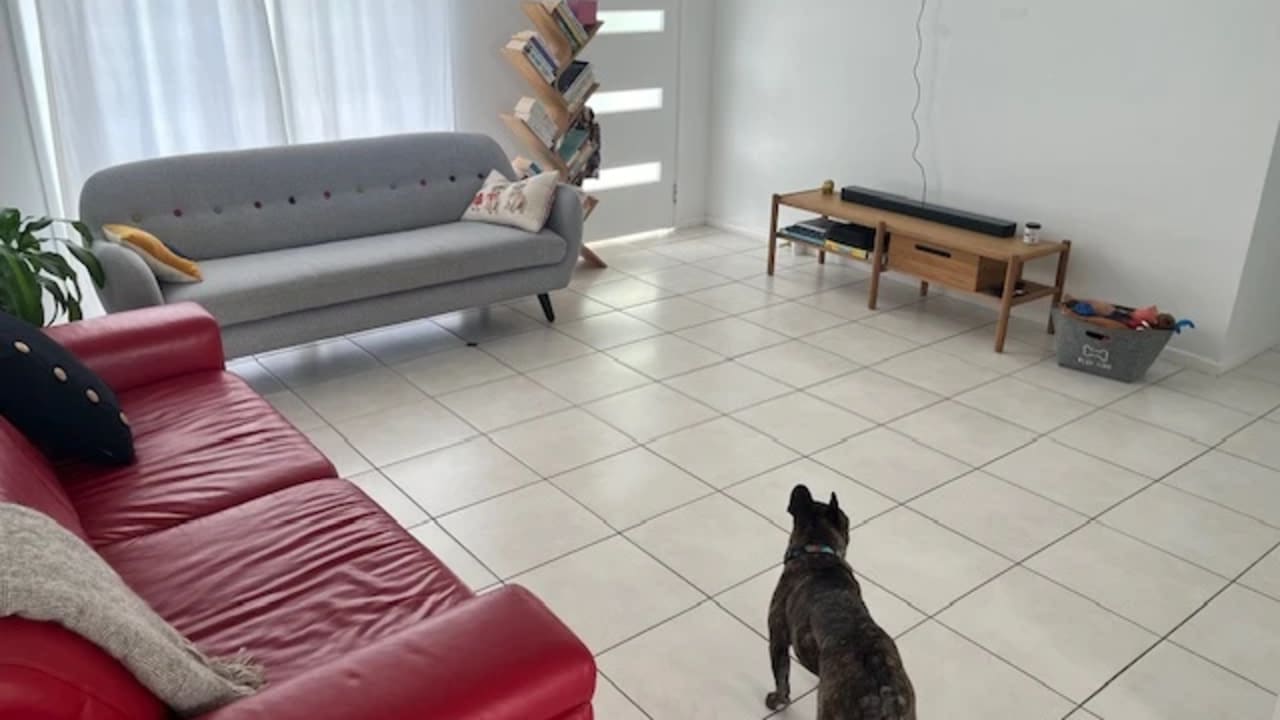 Unfurnished room in a share house