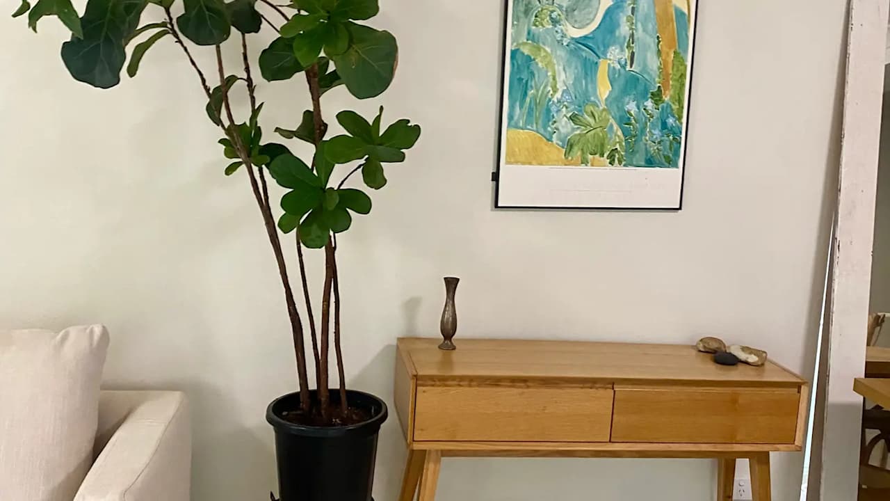 Room in a share house