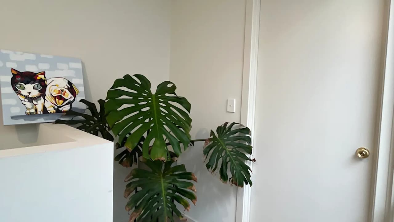 Furnished room with ensuite in a share house