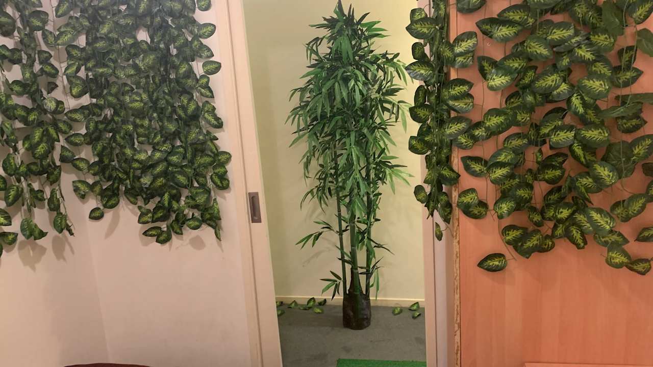 Whole property with 2 rooms for rent