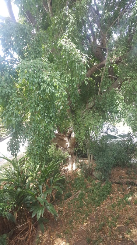 $200, Share-house, 3 bathrooms, Kellett Street, Auchenflower QLD 4066