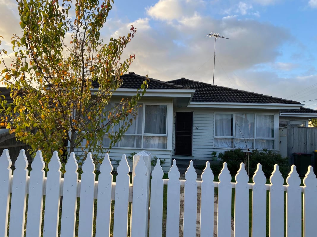 Room for Rent in Wilton Avenue, Newcomb, Geelong ...