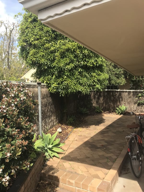 Room for Rent in Rosslyn Park, Adelaide 180, Flex...