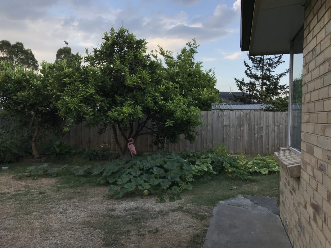 Room for Rent in Springvale, Melbourne 240, Flexi...