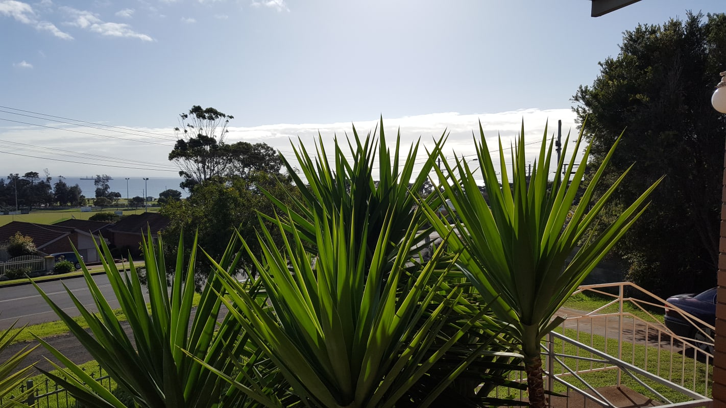 Room for Rent in Portarlington, VIC 200, Flexible...