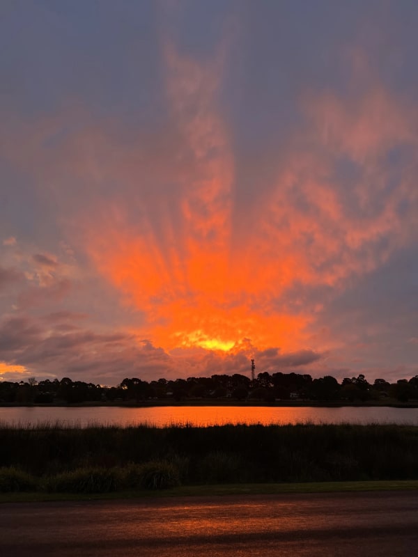 Room for Rent in Hamilton, VIC 180, Furnished, Sh...