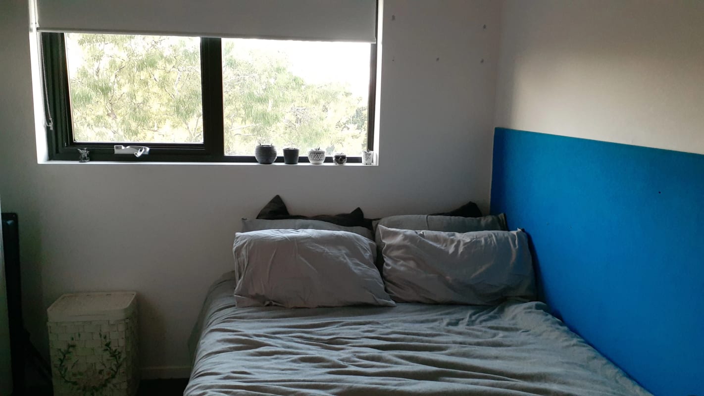 Student Accommodation For Rent In Regent Street Woolloon