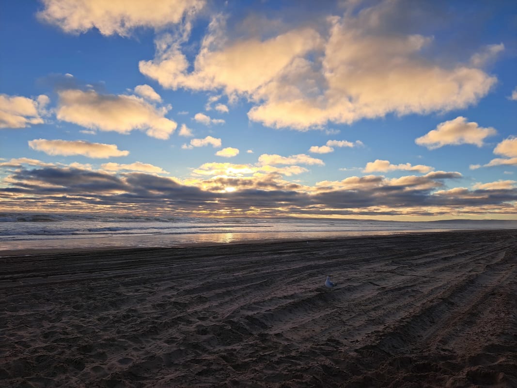 Room for Rent in Goolwa, SA 200, Flexible with fu...