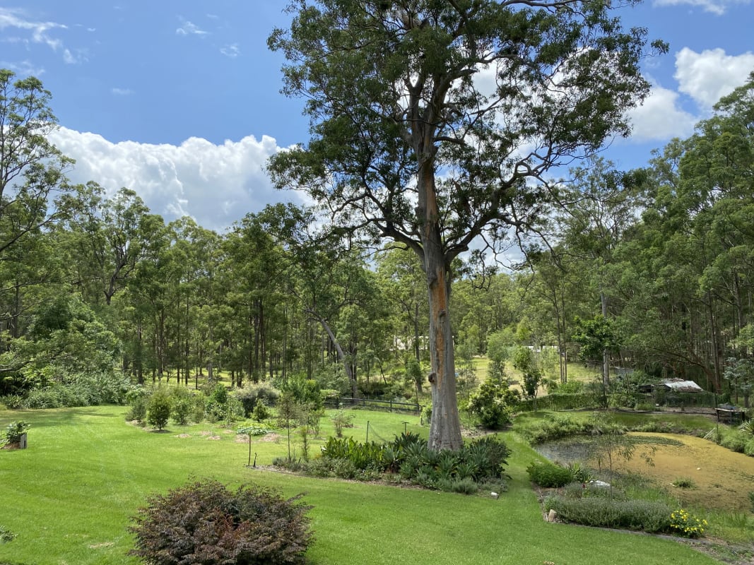 Room for Rent in Rosewood, NSW 250, Flexible with...