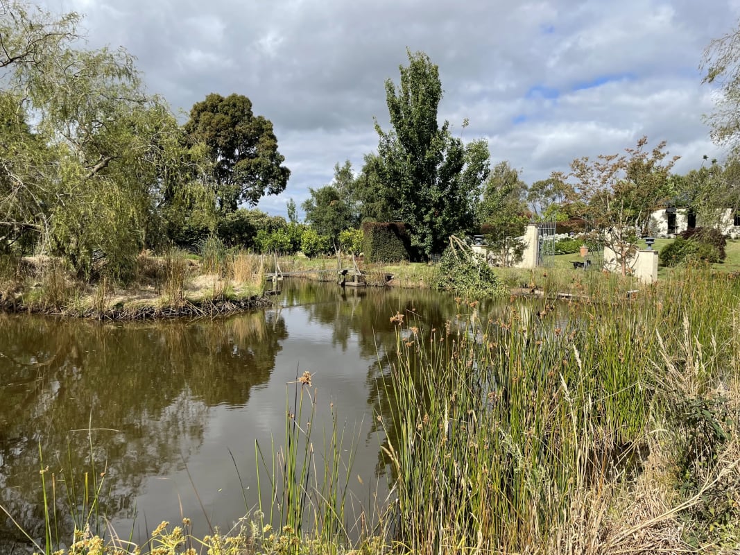 Room for Rent in Korumburra, VIC 250, Furnished,