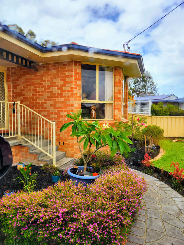 Room for Rent in Sanctuary Point, NSW 250, Furnis...