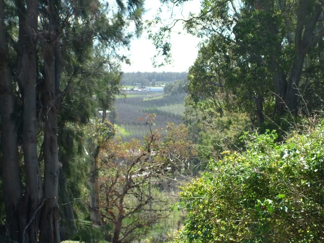 Room for Rent in Pickering Brook, Perth 150, Furn...