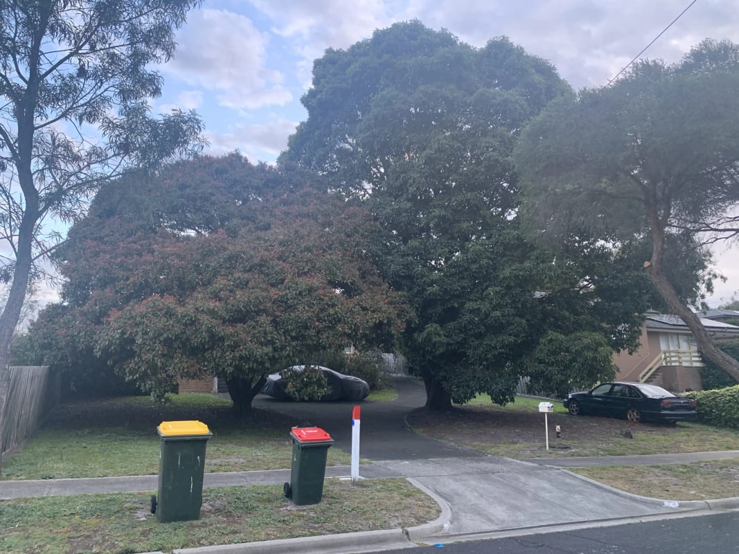 Room for Rent in Frankston, Melbourne 100, Flexib...