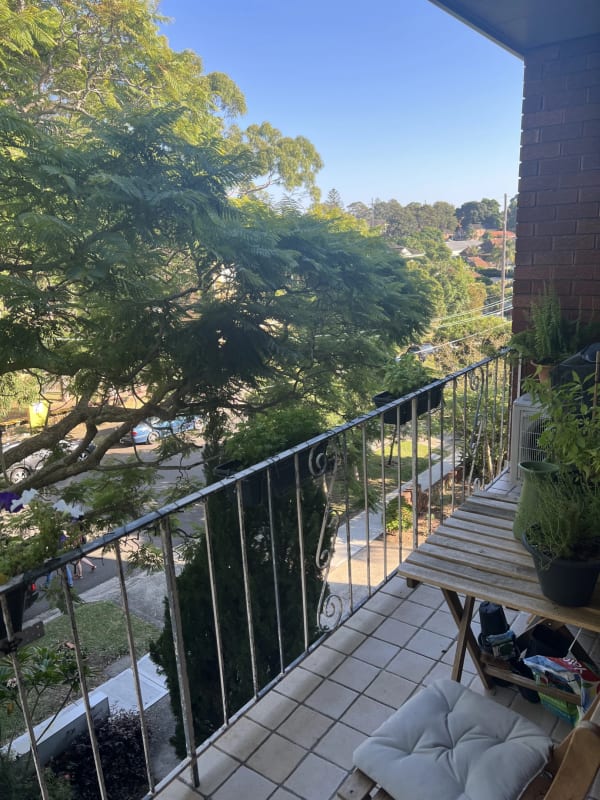 Whole Property for Rent in Gladesville, Sydney 60...