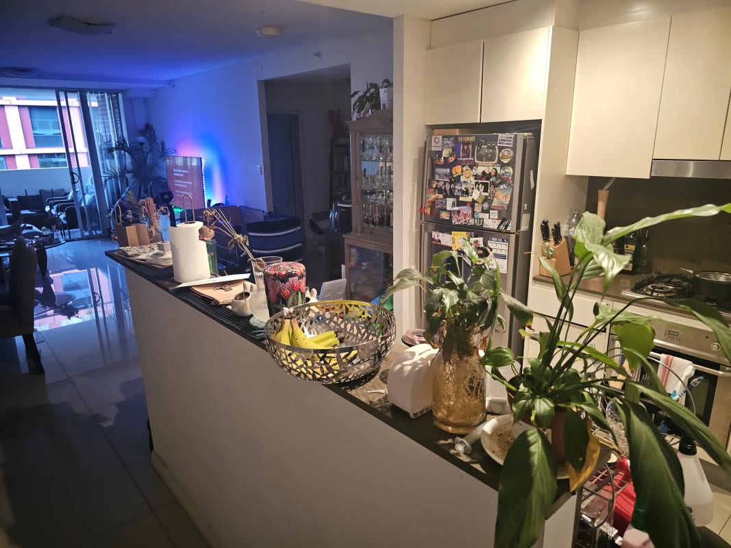 Room for Rent in Mascot, Sydney 440, Furnished, O...