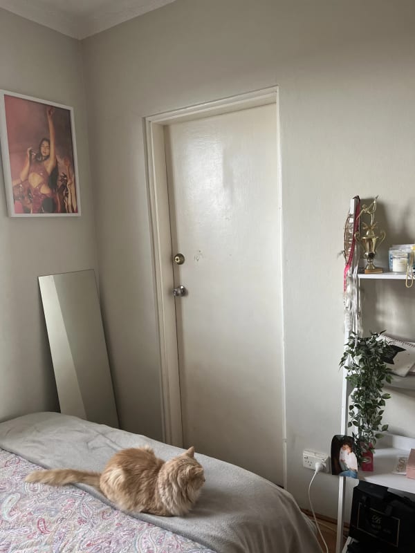 Room for Rent in Balmain, Sydney 270, Furnished,