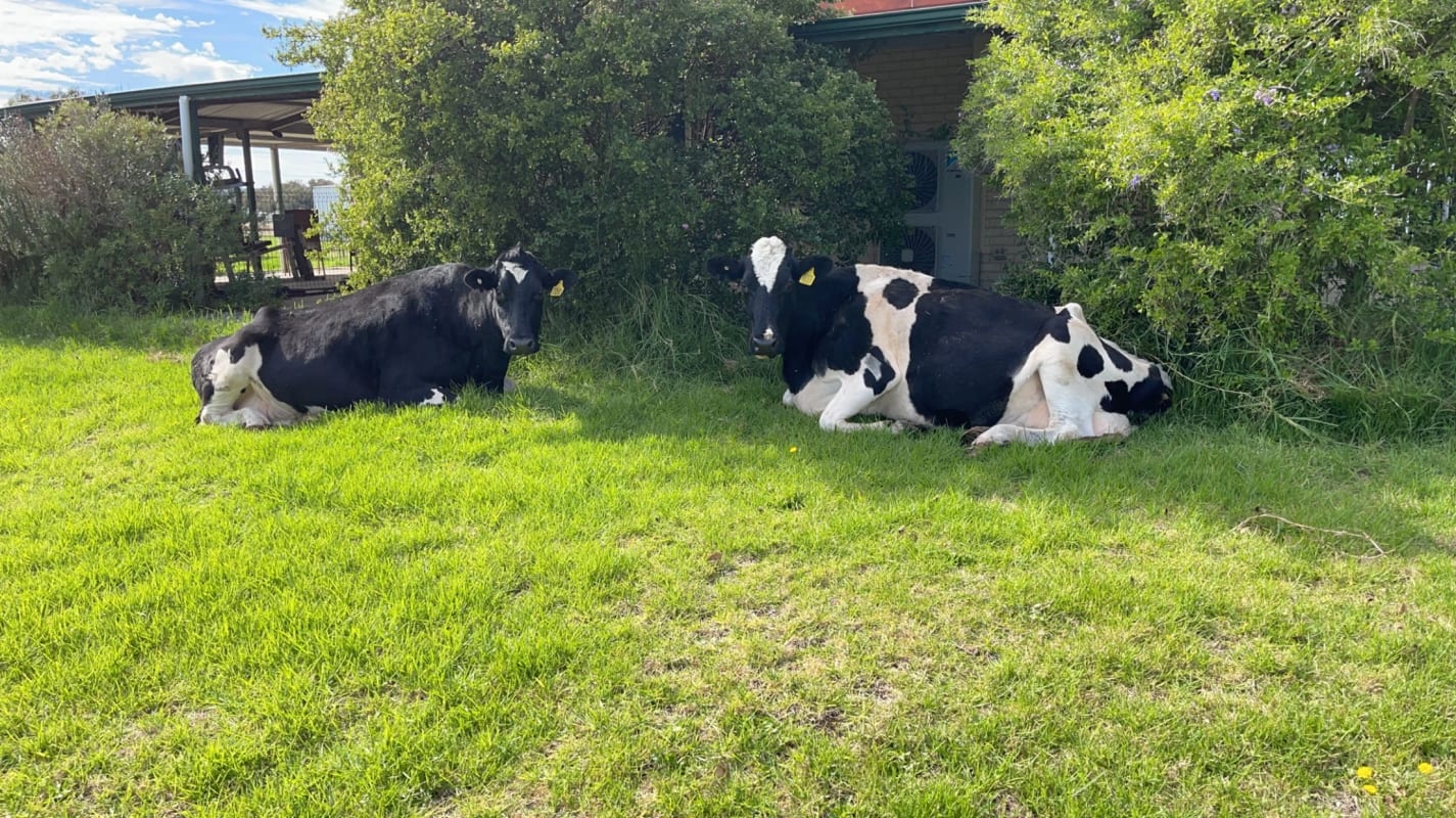 Room for Rent in Cookernup, WA 250, Furnished, Ow...