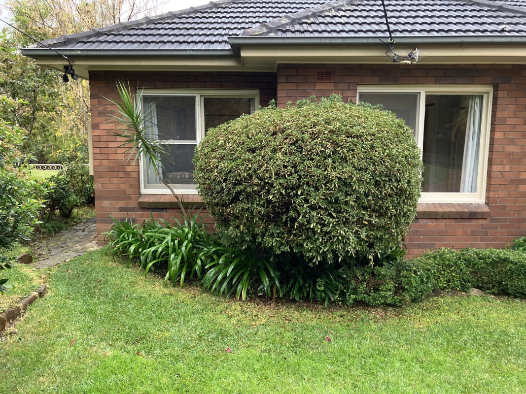 Granny Flat for Rent in Pennant Hills, Sydney 400...