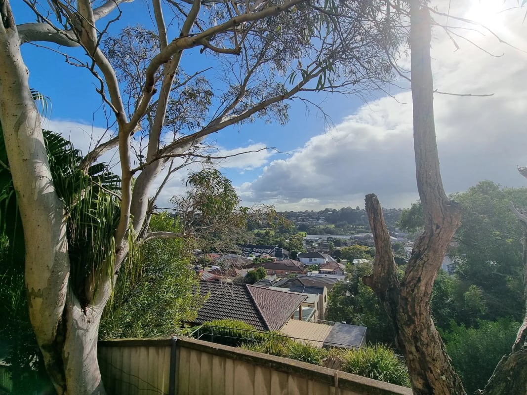 Granny Flat for Rent in Arncliffe, Sydney 300, Fl...