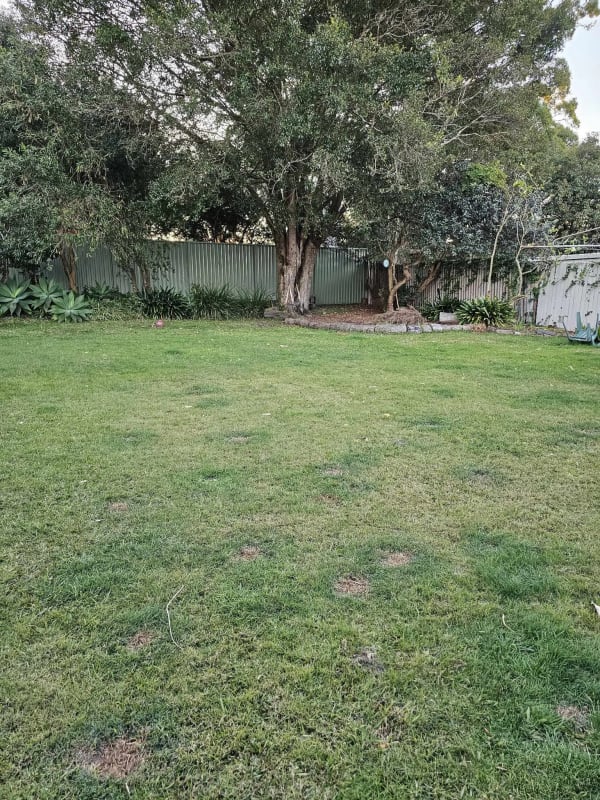 Room for Rent in Forestville, Sydney 280, Unfurni...