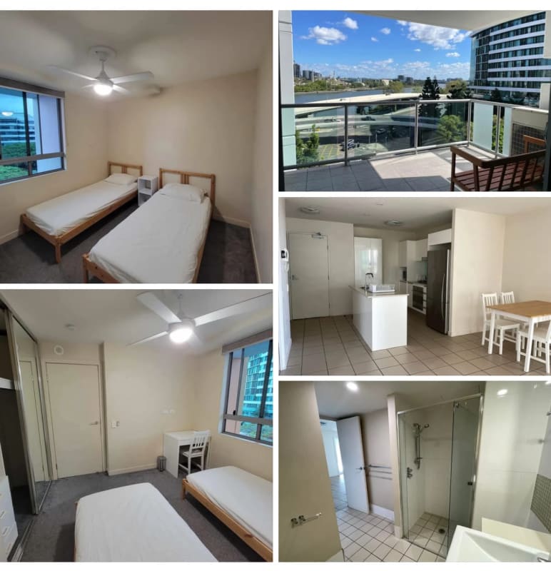 Shared Room for Rent in Brisbane City, Brisbane | $2... | Flatmates.com.au